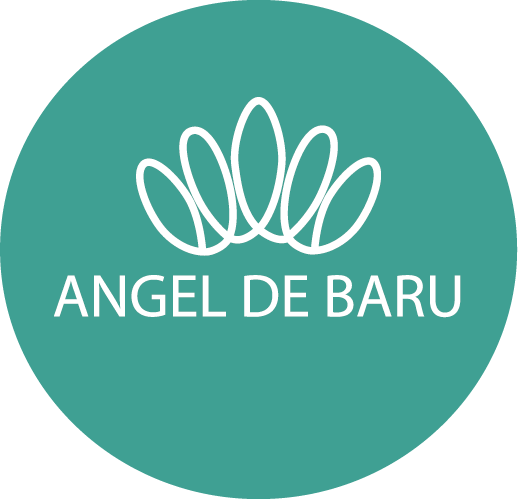 ANGEL DE BARU